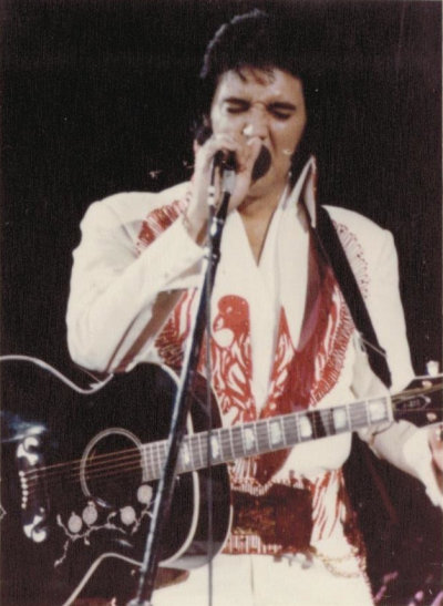 Ever Elvis