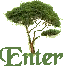 Enter